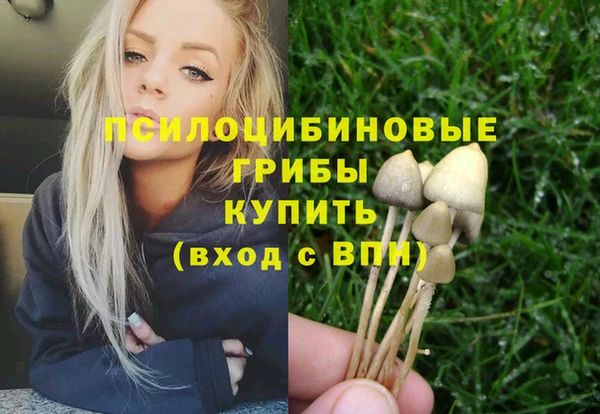 спайс Медногорск