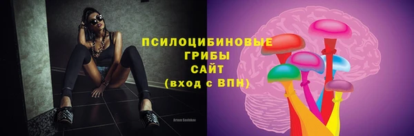 спайс Медногорск