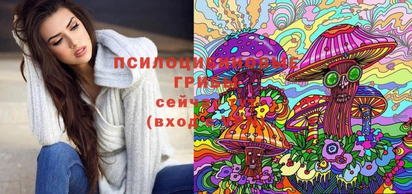 спайс Медногорск