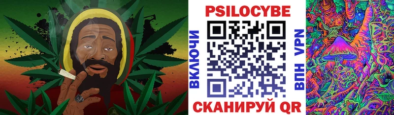 хочу наркоту  Пучеж  Псилоцибиновые грибы Psilocybe 
